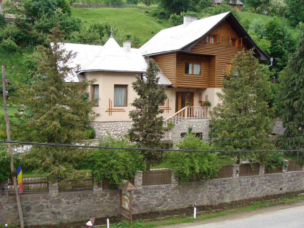 Pensiunea Aurora Albac Exterior foto